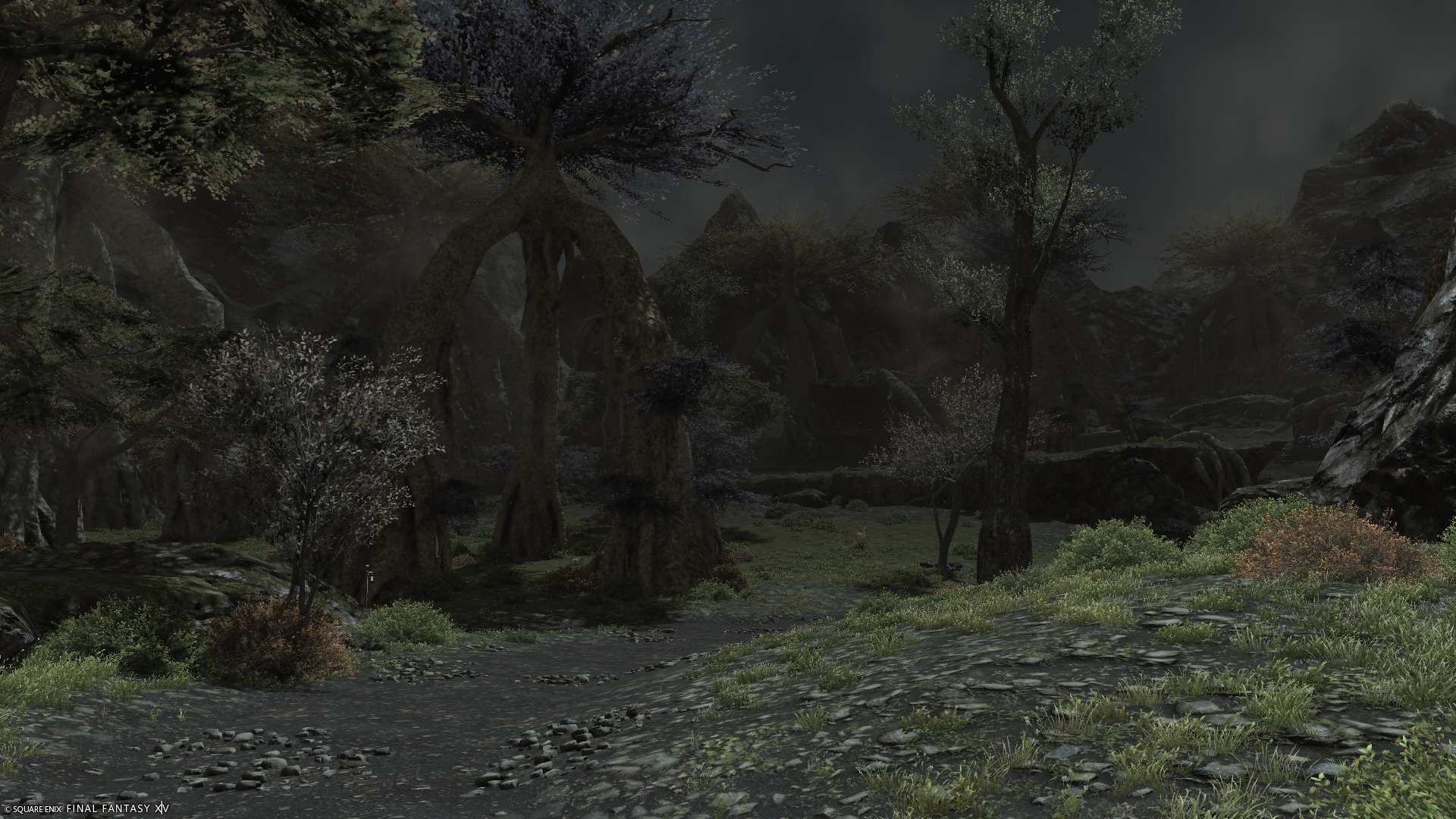 The Chocobo Forest